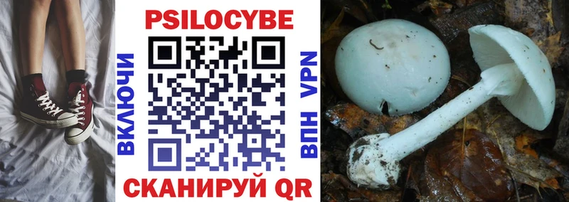 blacksprut ONION  Кизилюрт  Псилоцибиновые грибы прущие грибы 